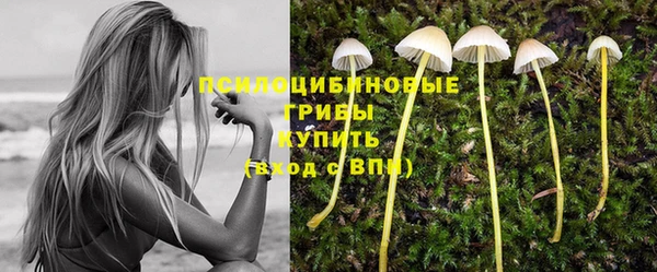 прущая мука Арсеньев