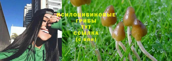 соль курить ск Аркадак